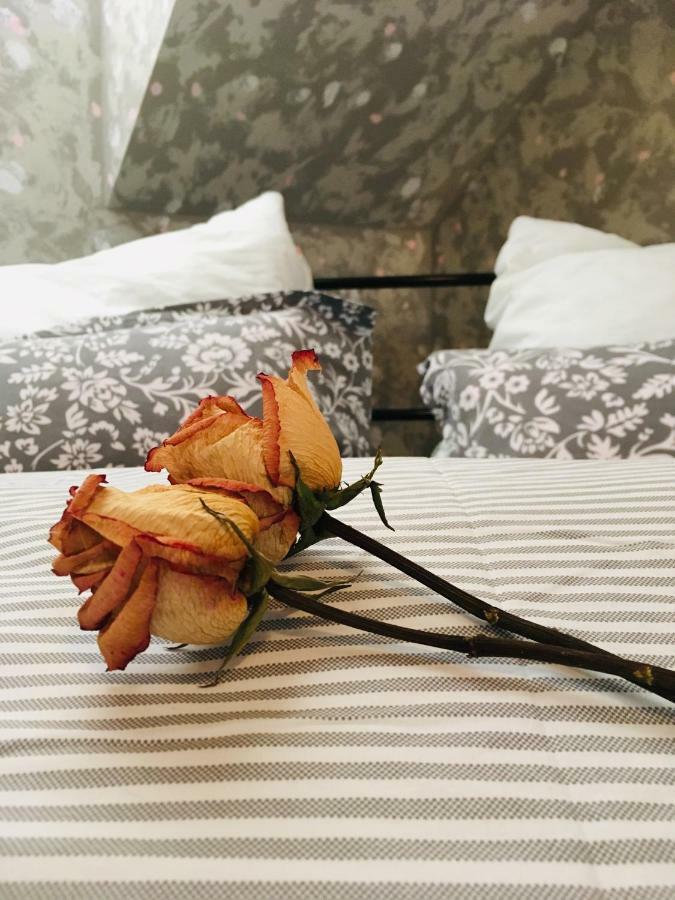 Apartman U Zamecke Dyje Леднице Екстериор снимка